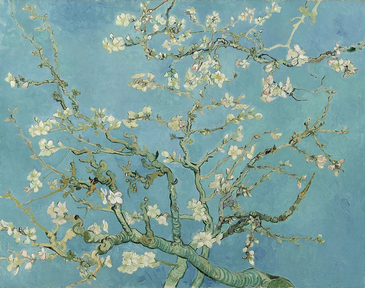 Van Gogh’s Almond Blossom: white blossoms against a vivid blue sky